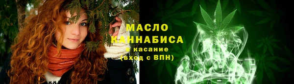индика Гусев