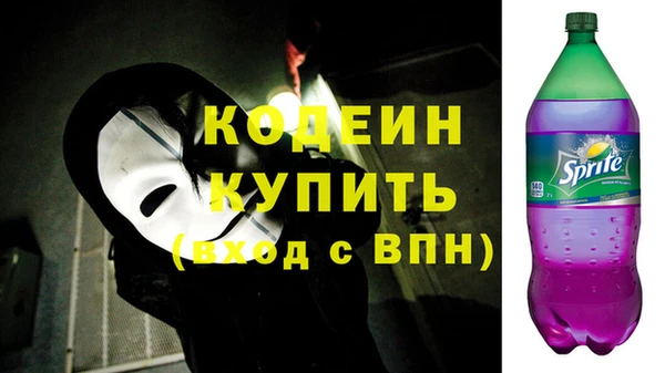индика Дмитриев