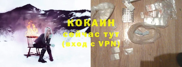 индика Дмитриев