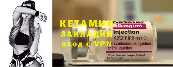 индика Дмитриев