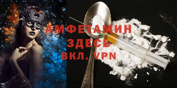 индика Дмитриев
