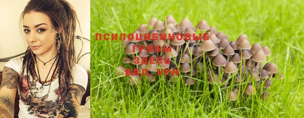 индика Дмитриев