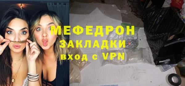 индика Дмитриев