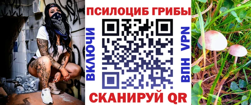 Купить закладки  Староминская  Галлюциногенные грибы мухоморы 