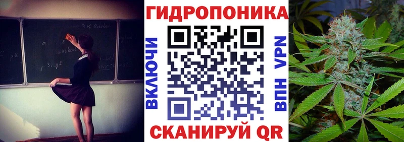 Купить закладки  Староминская  Шишки марихуана Ganja 